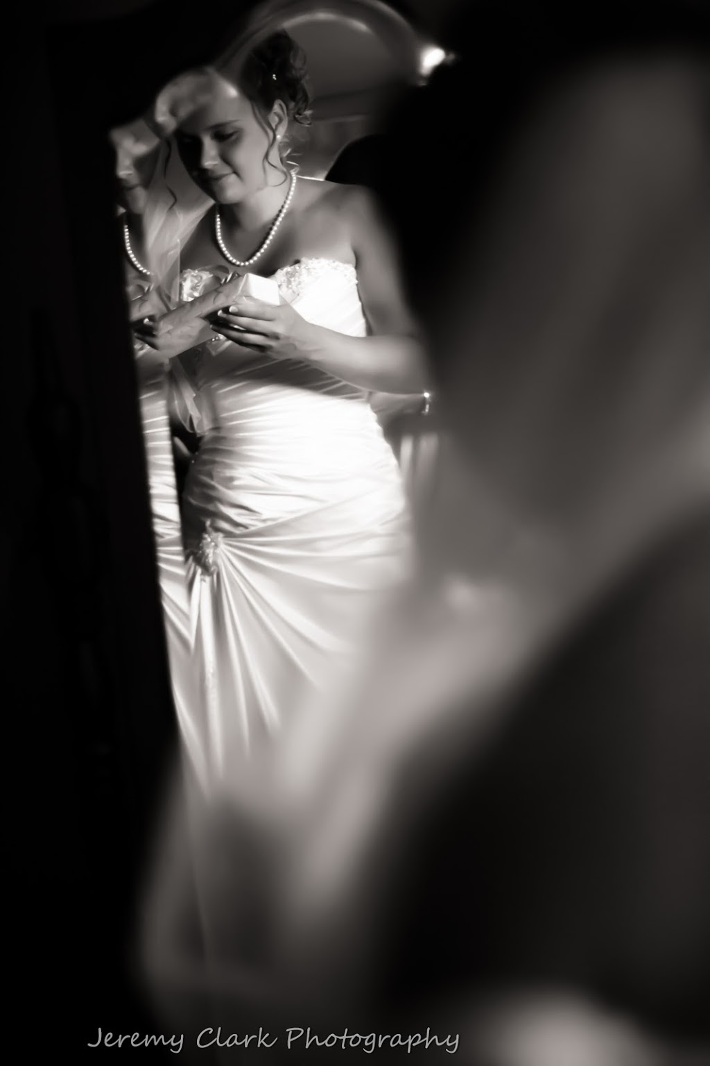 Jeremy Clark Photography | Jones Ln, Brantford, ON N3T 0A7, Canada | Phone: (519) 802-5001