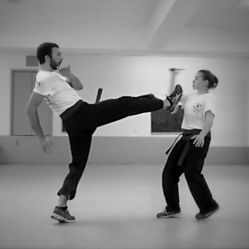 Krav Maga School Tray | 4265 Rue Papineau, Montréal, QC H2H 1T3, Canada