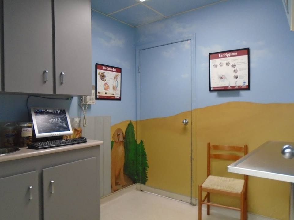Walnut Grove Animal Hospital | 20995 88 Ave #101A, Langley City, BC V1M 2C9, Canada | Phone: (604) 888-2628