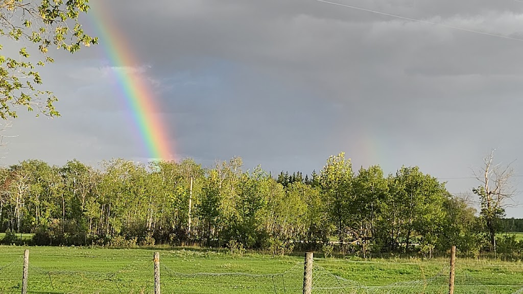 The Barefoot Ranch | 9108 E Rd 98N, Teulon, MB R0C 3B0, Canada | Phone: (204) 801-6833