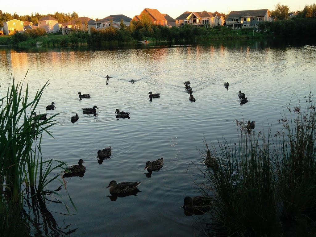 Gagnon Park | 139 Gagnon Dr, Moncton, NB E1A 0Z4, Canada | Phone: (506) 853-3516
