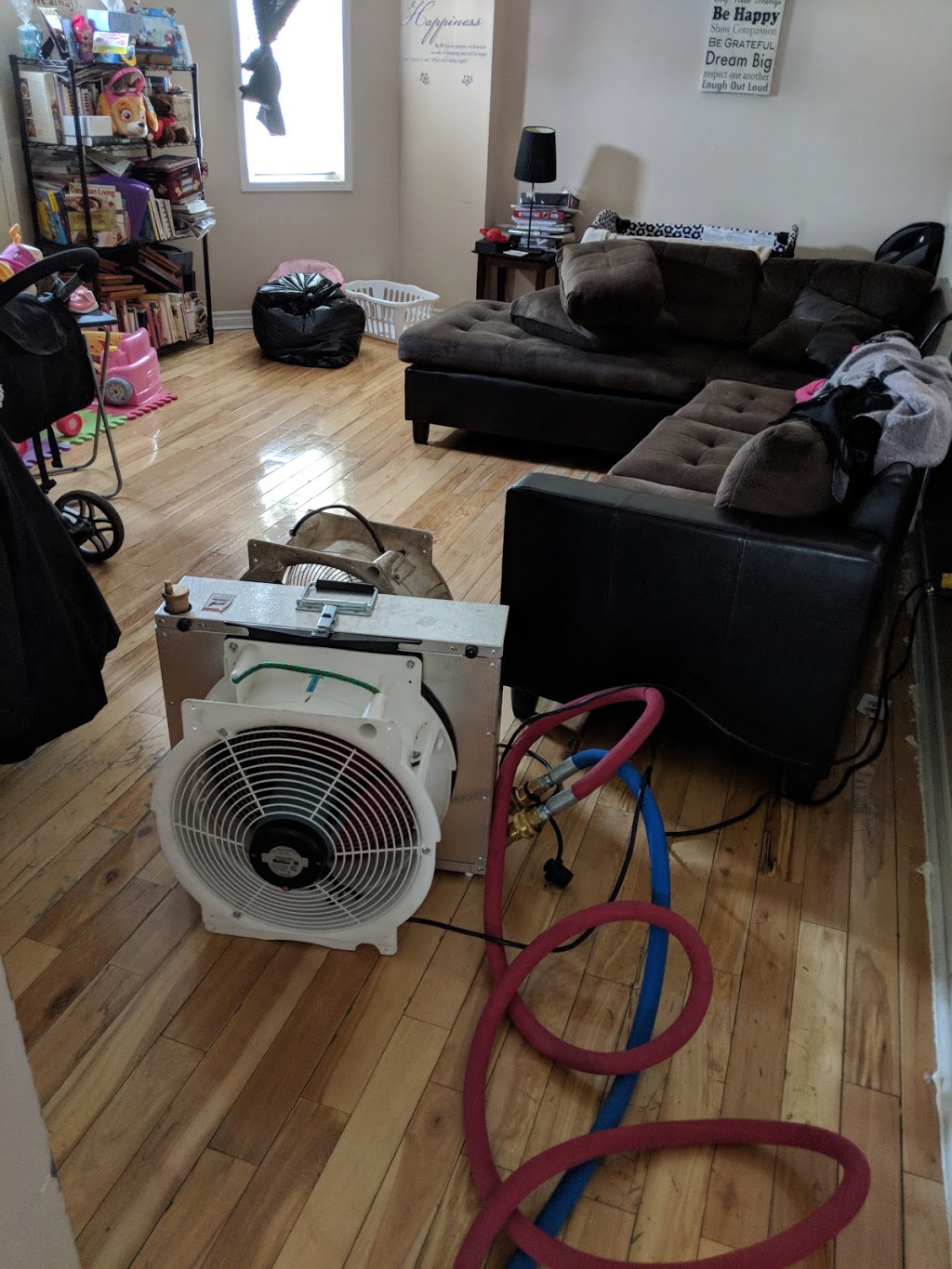 Green Heat Bed Bugs | 1411 Hidden Valley Rd, Burlington, ON L7P 0T5, Canada | Phone: (289) 828-2298