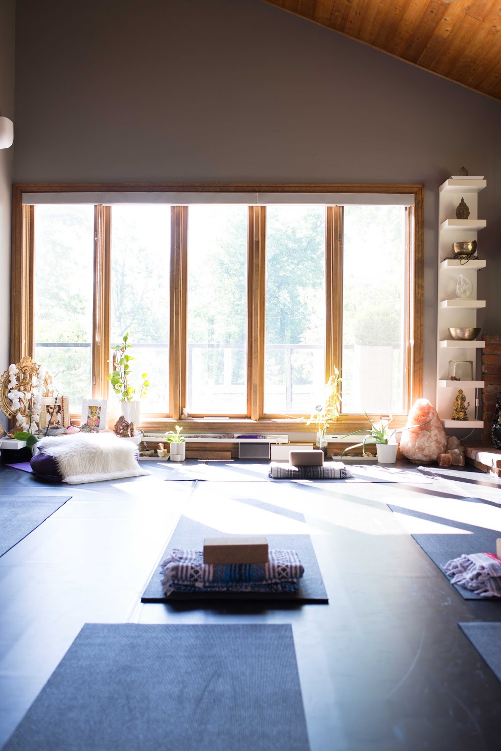 SVA Yoga | 10737 First Line Nassagaweya, Moffat, ON L0P 1J0, Canada | Phone: (905) 699-0753