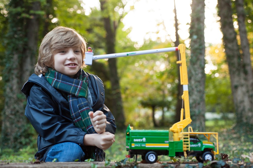 Davey Tree Expert Co.of Canada, Limited | 40 Roy Blvd, Brantford, ON N3R 7K2, Canada | Phone: (519) 754-1680