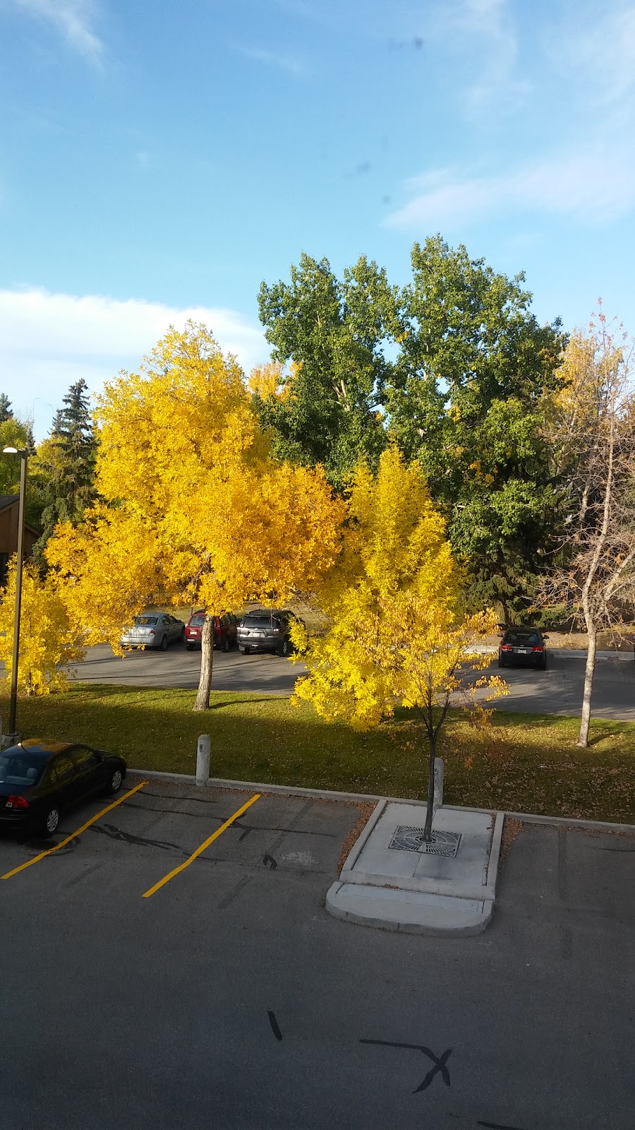 Foothills Academy Society | 745 37 St NW, Calgary, AB T2N 4T1, Canada | Phone: (403) 270-9400