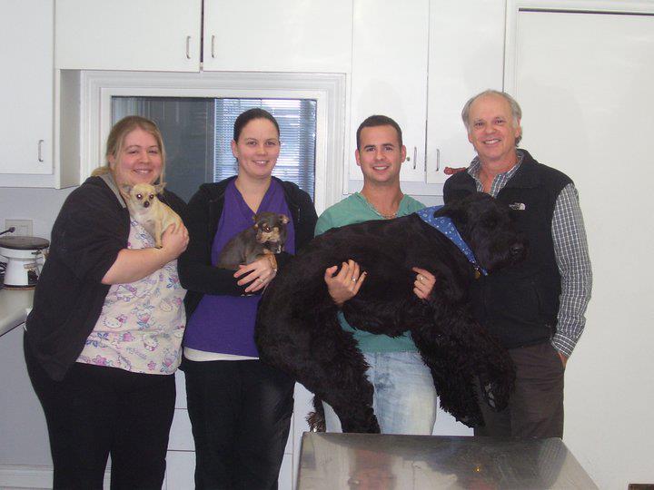 Markham Road Animal Hospital - 900 Markham Rd, Scarborough, ON M1H 2Y2, Canada Markham Road Animal Hospital - 900 Markham Rd, Scarborough, ON M1H 2Y2, Canada