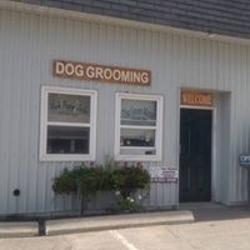 The Groom Meister | 55 Townline, Orangeville, ON L9W 1V5, Canada | Phone: (519) 941-3336