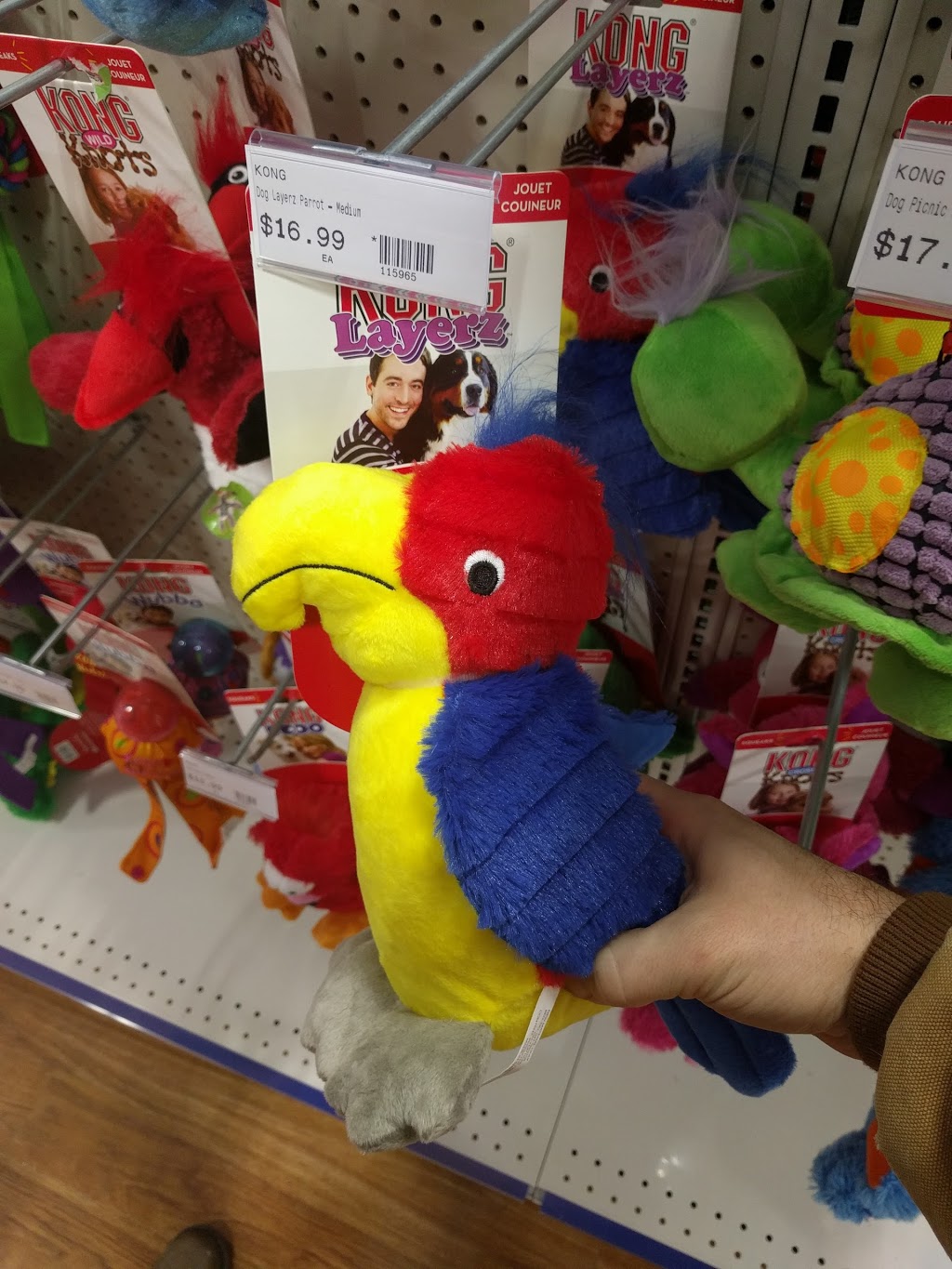 Rens Pets Aurora | 239 Earl Stewart Dr #5, Aurora, ON L4G 7Y3, Canada | Phone: (905) 503-2143