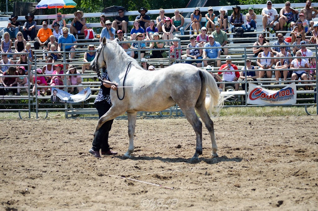 Tweed Stampede & Agricultural Exibition | 15 Trudeau Ln, Tweed, ON K0K 3J0, Canada | Phone: (613) 847-1399