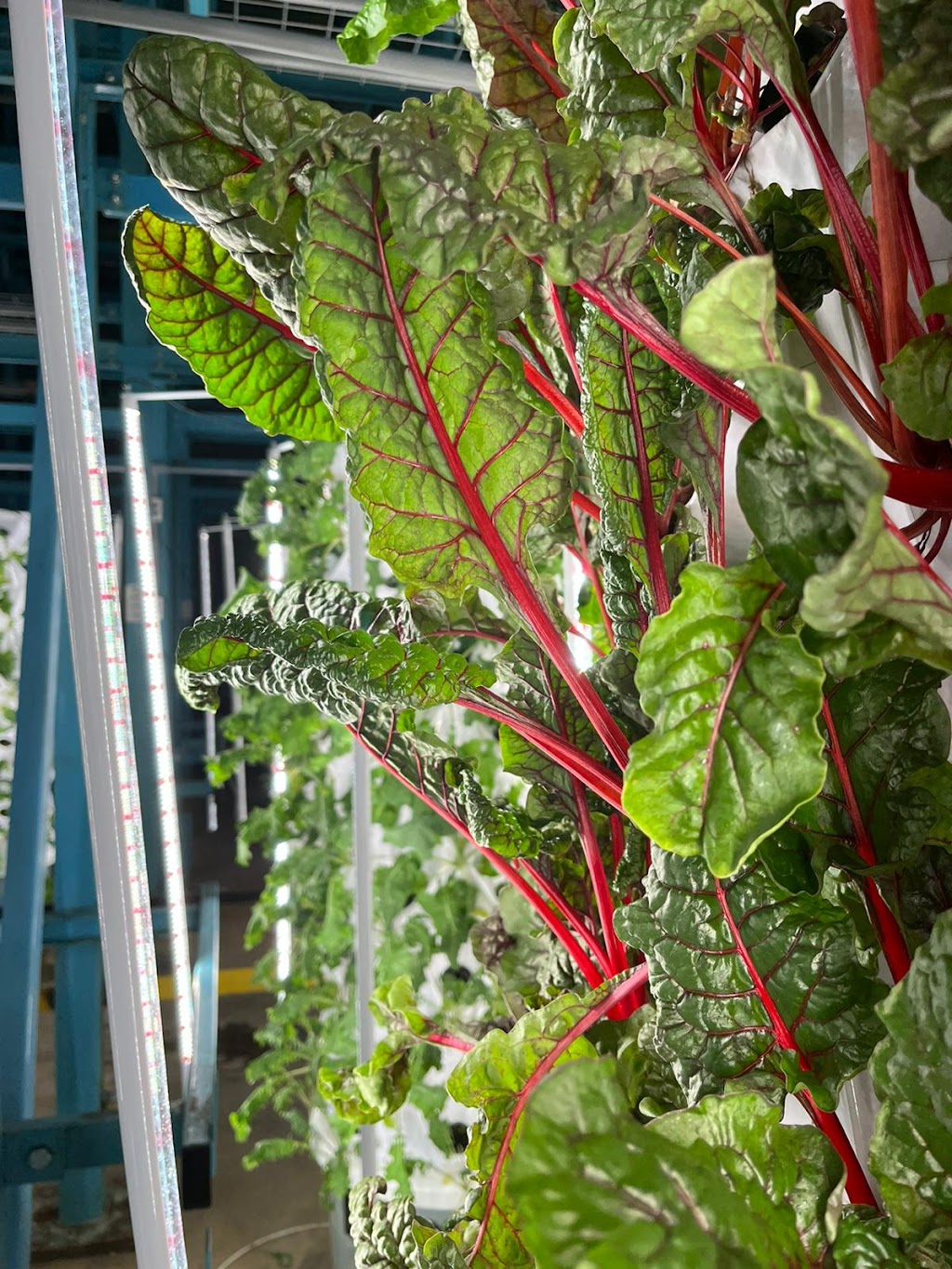 Farmia Agritech | 100 Kellogg Ln, London, ON N5W 2T5, Canada | Phone: (647) 990-0151