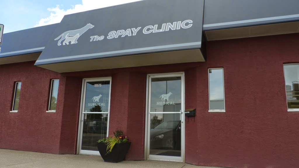 The Spay Clinic | 10575 111 St NW, Edmonton, AB T5H 3E8, Canada | Phone: (780) 426-4221