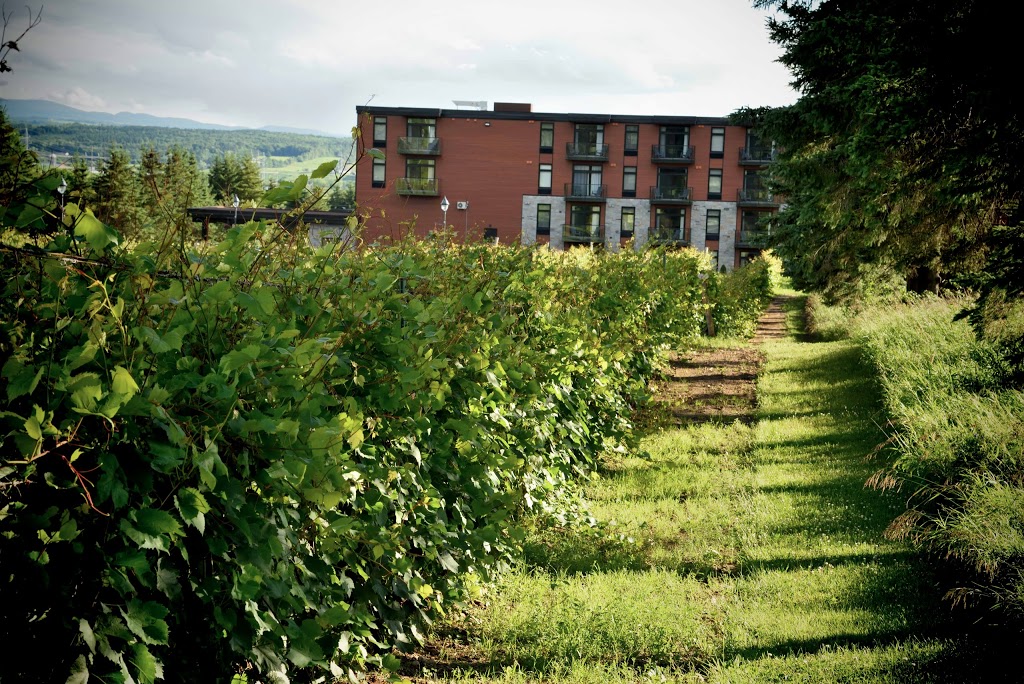 La cache à Maxime by C Hôtels | 265 Rue Drouin, Scott, QC G0S 3G0, Canada | Phone: (418) 387-5060