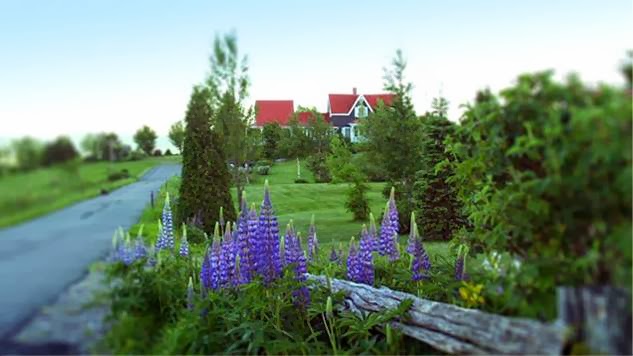 Aux Berges de LAurore CITQ: 075552 | 139 Route du Parc, Notre-Dame-des-Bois, QC J0B 2E0, Canada | Phone: (819) 888-2715