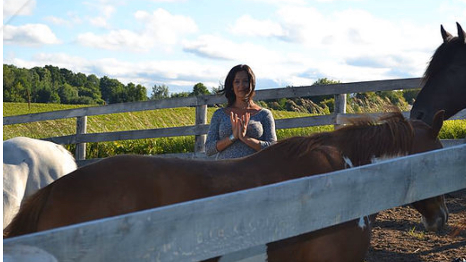 Horse Wisdom Yoga | 2601 Concession 5 Rd, Loretto, ON L0G 1L0, Canada | Phone: (905) 729-3956