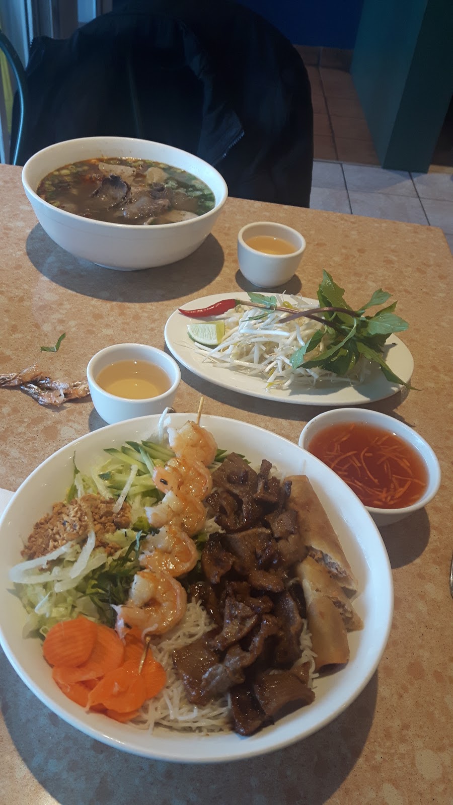 Mekong Restaurant | 2885 17 Ave SE, Calgary, AB T2A 0P7, Canada | Phone: (403) 248-1488