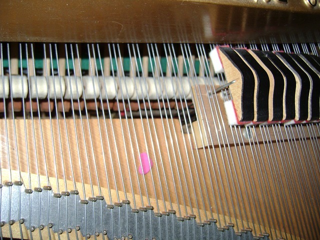 Tim Saunders- Piano Tuning | 7 Stairs St, Dartmouth, NS B3A 3E8, Canada | Phone: (902) 405-5177