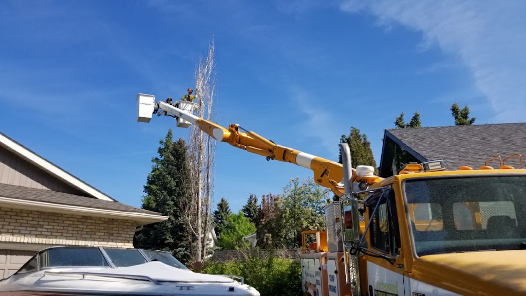 Charleswood Tree Service | 11 sabrina way, Headingley, MB R3S 1C5, Canada | Phone: (204) 781-9429