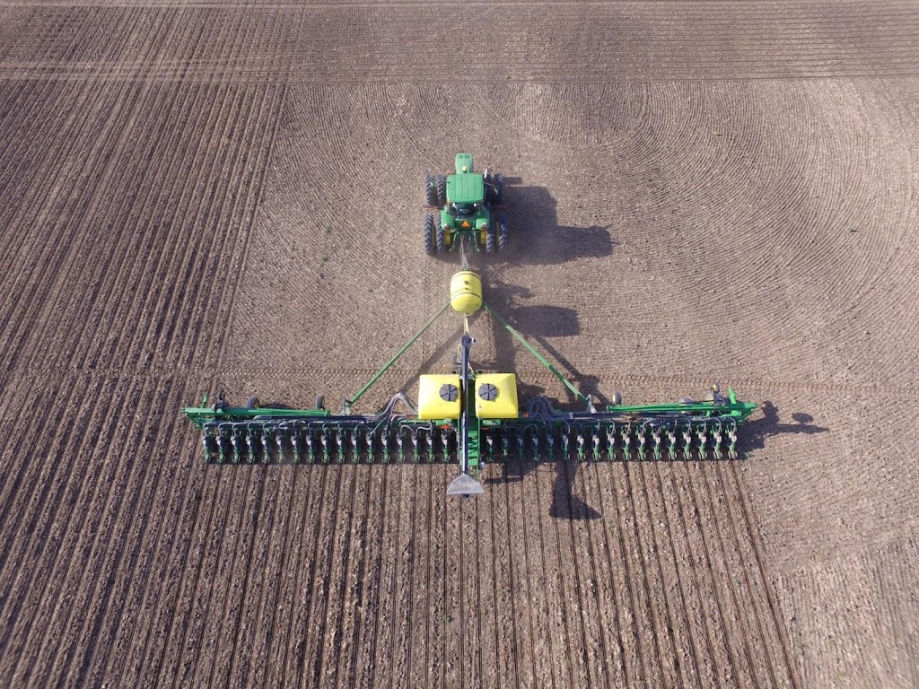 AJM Seeds Ltd | 520 46th Ave, Coalhurst, AB T0L 0V0, Canada | Phone: (403) 308-6685