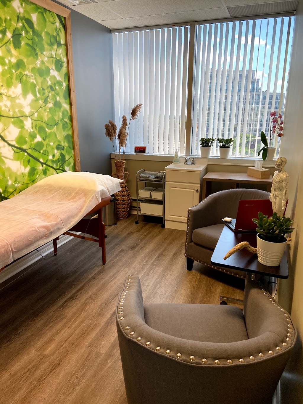 Shtepura Wellness Clinic | 2425 Bloor St W #404, Toronto, ON M6S 4W4, Canada | Phone: (416) 856-2535