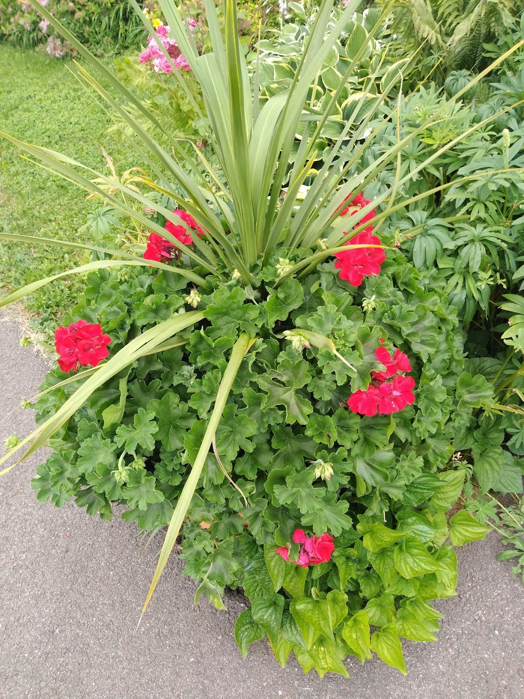 Prince County Guest House | 11 Lady Slipper Dr N, Miscouche, PE C0B 1T0, Canada | Phone: (902) 436-3216