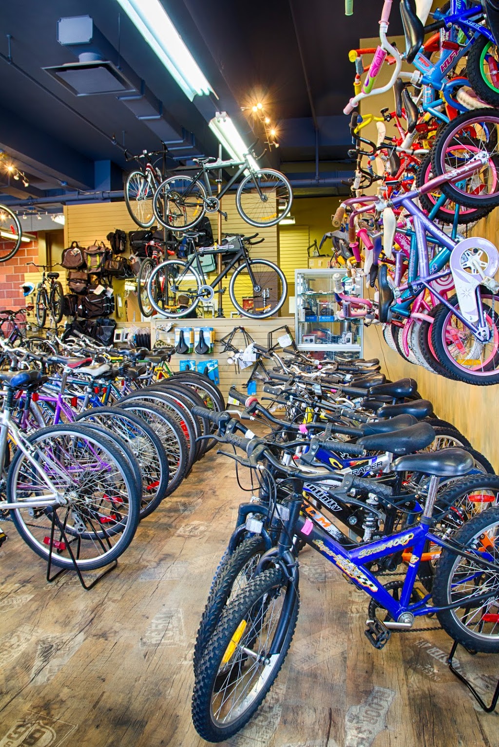 Le Vélo Vert inc. | 3030 Boulevard Sainte-Anne, Québec, QC G1E 6N1, Canada | Phone: (418) 661-1661