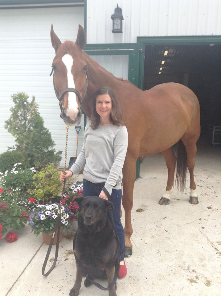 Henderson Equine Services | 12577 Fifteen Mile Rd, Denfield, ON N0M 1P0, Canada | Phone: (519) 319-3274