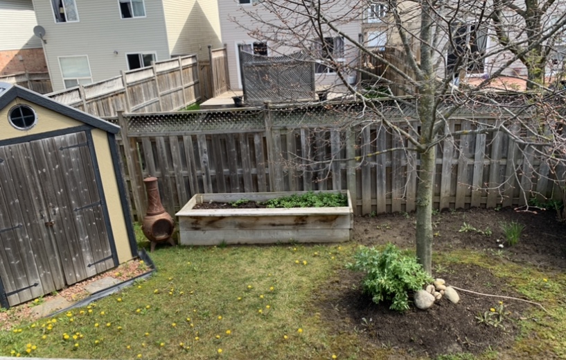Complete Stump & Tree Removal Inc. | 457 Regency Crescent, Waterloo, ON N2T 1P2, Canada | Phone: (519) 590-8178