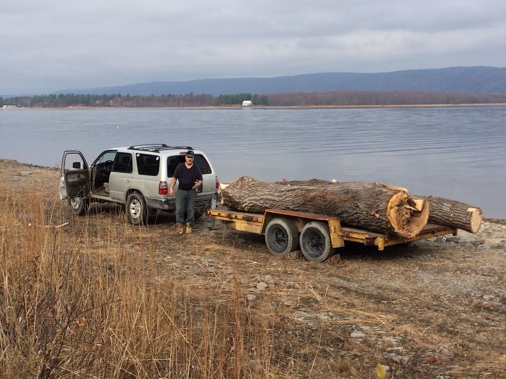 Tree Problems ? Tree Services ! | 851 A Rainbow Rd, Salt Spring Island, BC V8K 2M8, Canada | Phone: (250) 537-9897