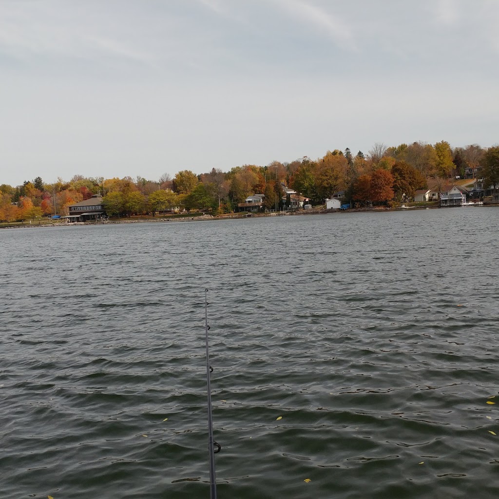 Bridgenorth Sports & Marine | 893 Garthorne Ave, Bridgenorth, ON K0L 1H0, Canada | Phone: (705) 292-9751