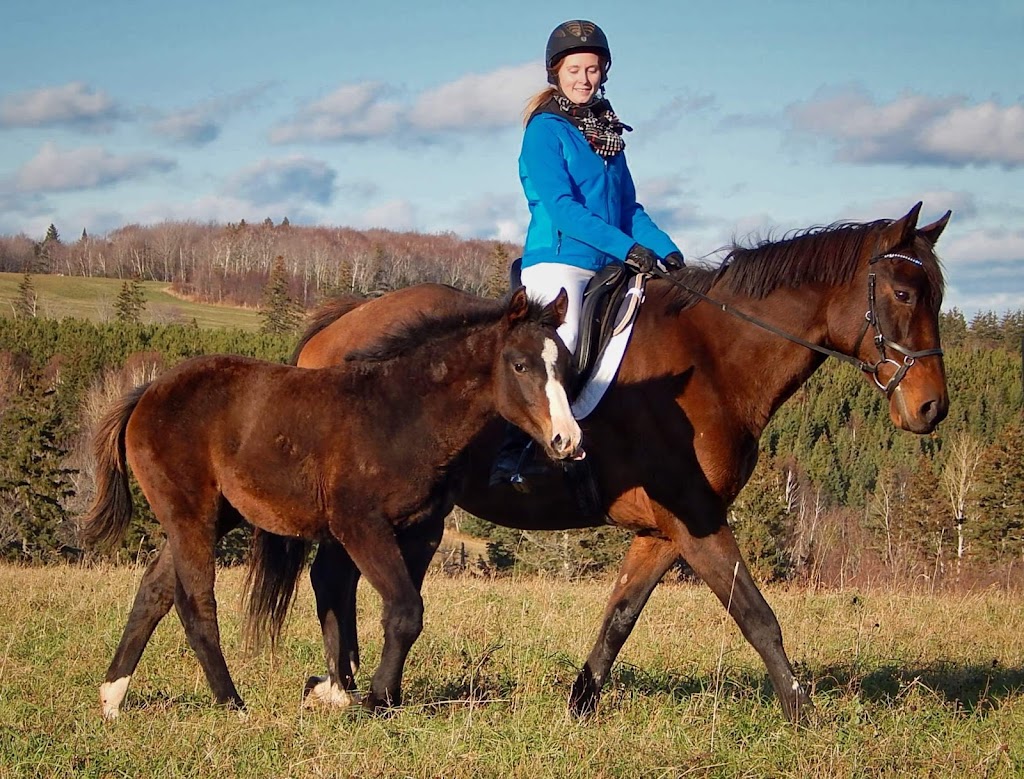 Rassicot Farm | 1260 Church Rd, New Glasgow, PE C0A 1N0, Canada | Phone: (902) 628-7898