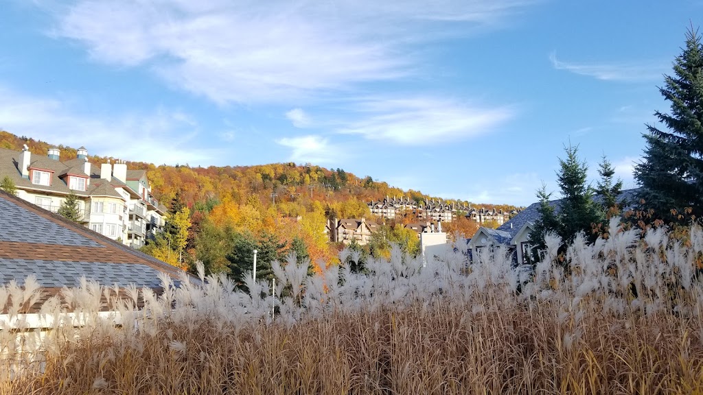 Mini-golf Le Petit Géant | 140 Chem. au Pied de la Montagne, Mont-Tremblant, QC J8E 3M2, Canada | Phone: (819) 681-3000