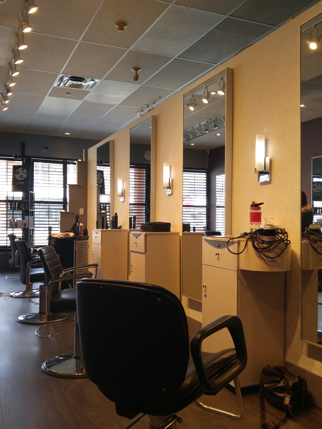 Venus Victoria Salon & Spa | 717 The Queensway, Etobicoke, ON M8Y 1L4, Canada | Phone: (416) 251-6778