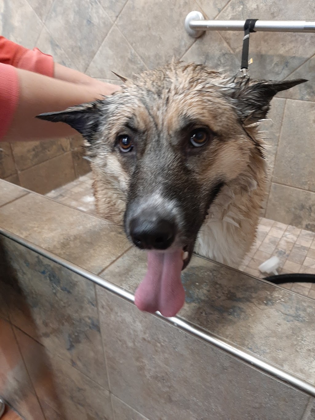 Pet Valu | 3 Reenders Dr, Winnipeg, MB R2C 5K5, Canada | Phone: (204) 654-9955