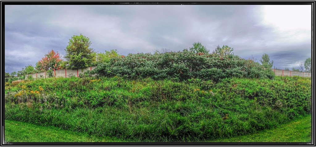 Talltree Park - West | Argyle, London, ON N5V 4V4, Canada | Phone: (519) 661-2489