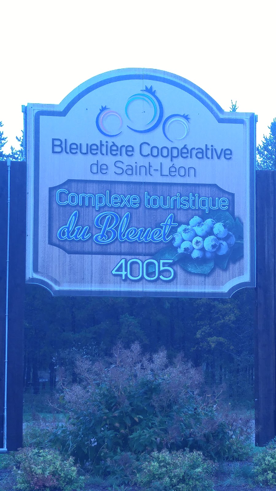 Bleuetiere Co-Op St-Leon | 4005 Rue Ambroise, Labrecque, QC G0W 2S0, Canada | Phone: (418) 481-1777