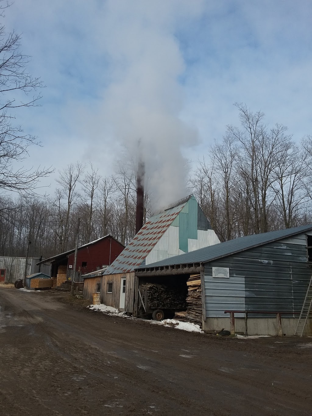 Burkharts Maple Products | 2892 Hackbart Rd, St. Clements, ON N0B 2M0, Canada | Phone: (519) 699-5366