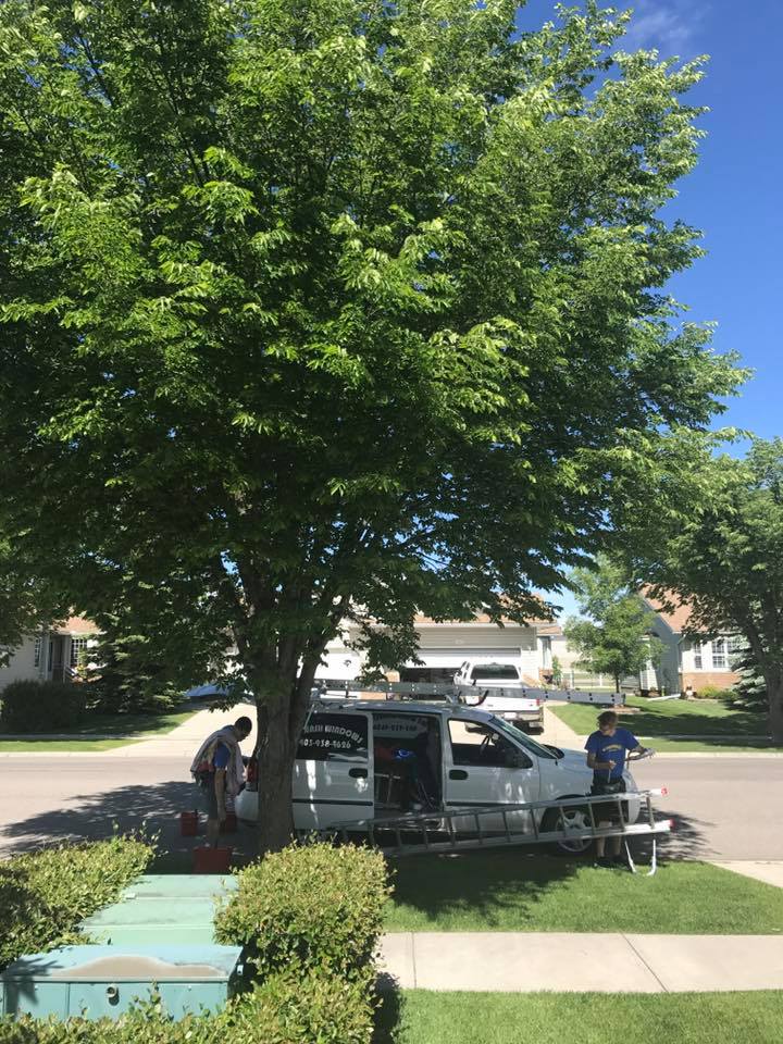 We Wash Windows | Lynnview Rd SE, Calgary, AB T2C 1X4, Canada | Phone: (403) 938-4626