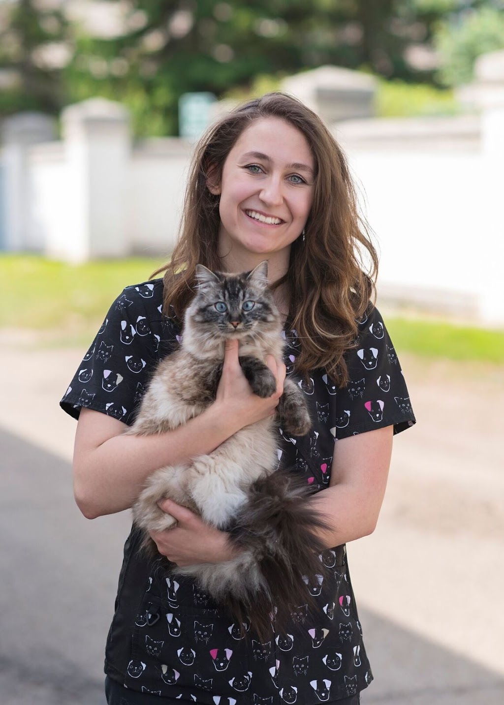 Westbrook Veterinary Clinic | 21 Fairway Dr NW, Edmonton, AB T6J 2S6, Canada | Phone: (780) 436-5073