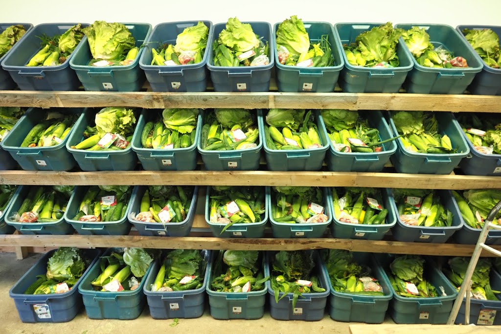 Ferme coop la Rosée | 115 Rang Saint Augustine, Notre-Dame-de-la-Paix, QC J0V 1P0, Canada | Phone: (819) 918-5358