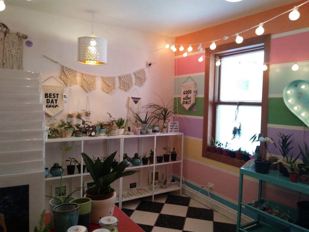 Pub Italia | 434 Preston St, Ottawa, ON K1S 4N4, Canada | Phone: (613) 232-2326