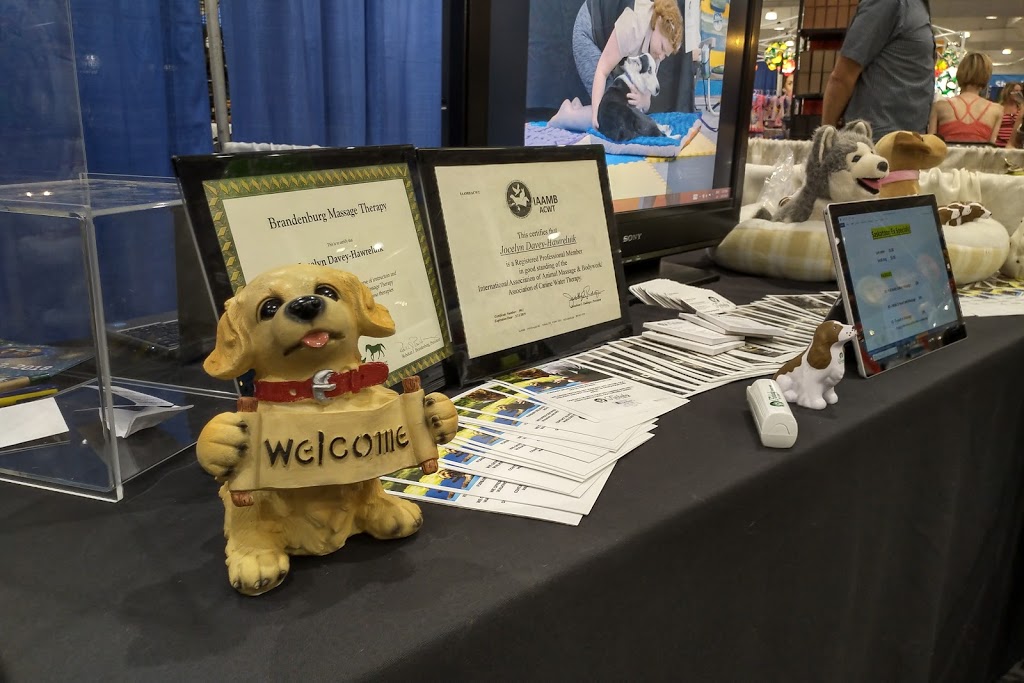 Furbaby Pet Care | 2902 Jasper Ave S, Saskatoon, SK S7J 4L7, Canada | Phone: (306) 912-7783