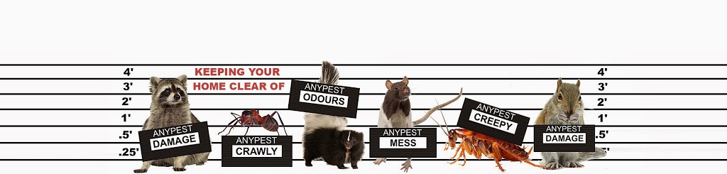 AnyPest | 5 Belleau St, Hamilton, ON L8J 1N1, Canada | Phone: (855) 886-7378