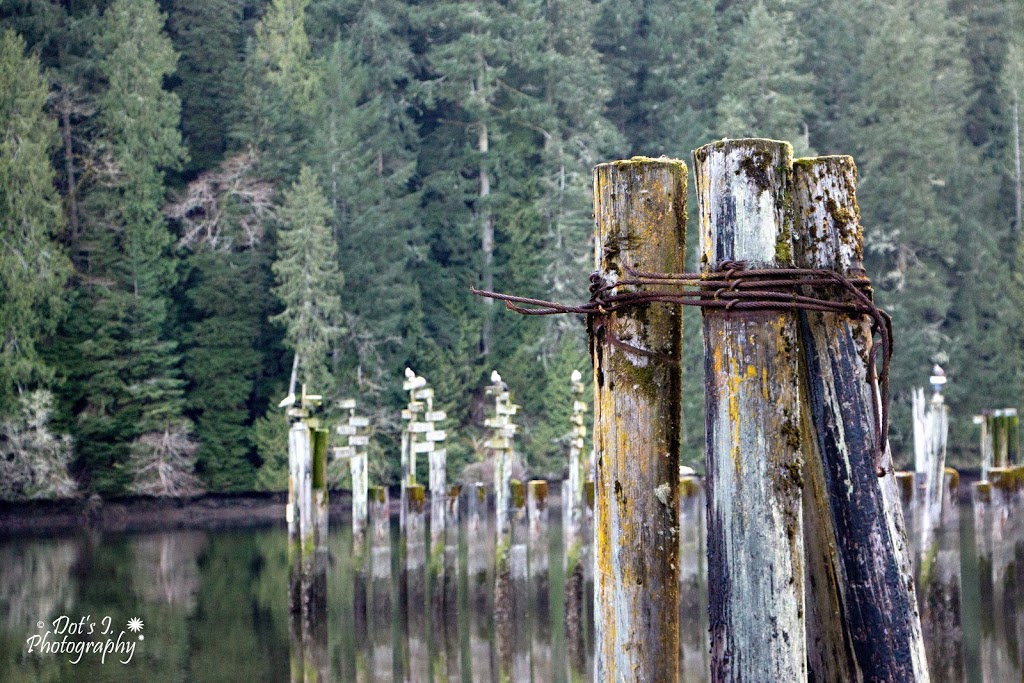 Tod Inlet trail Entrance. | 6537 Wallace Dr, Brentwood Bay, BC V8M 1J8, Canada