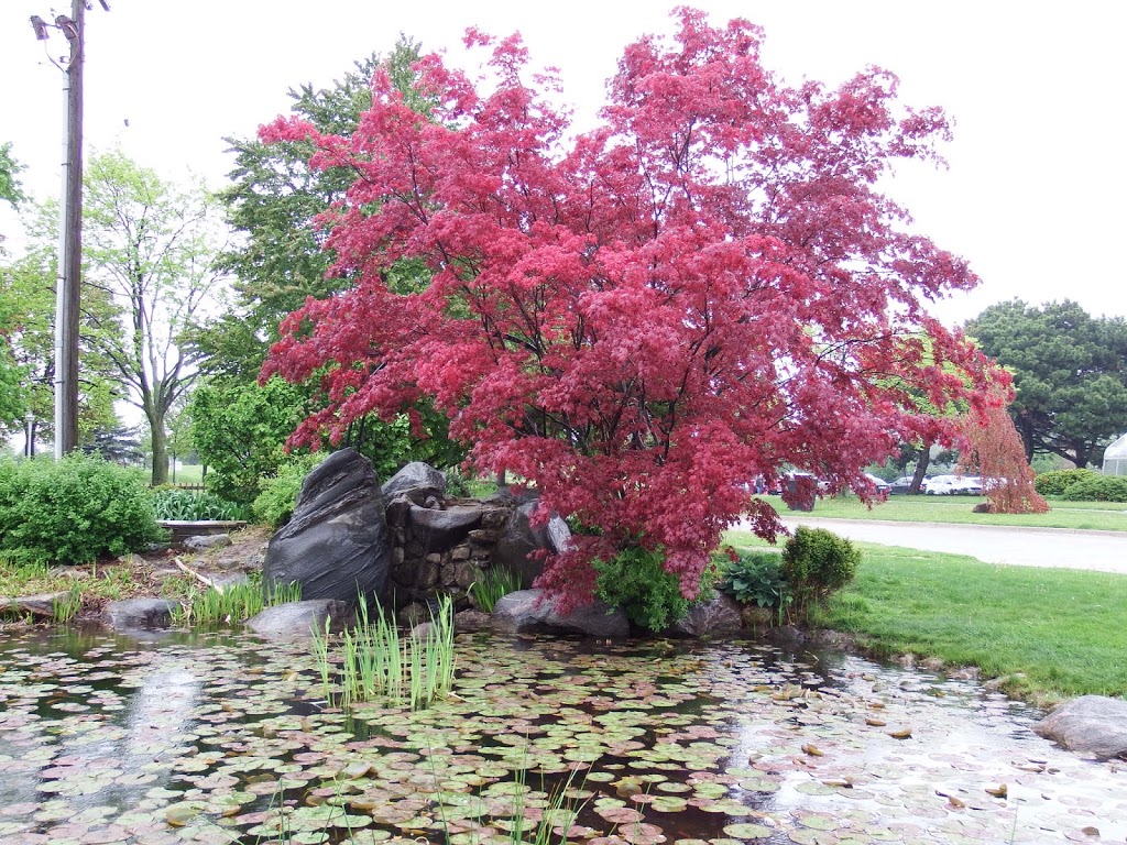 Centennial Park Conservatory | 151 Elmcrest Rd, Etobicoke, ON M9C 3S2, Canada | Phone: (416) 394-8543