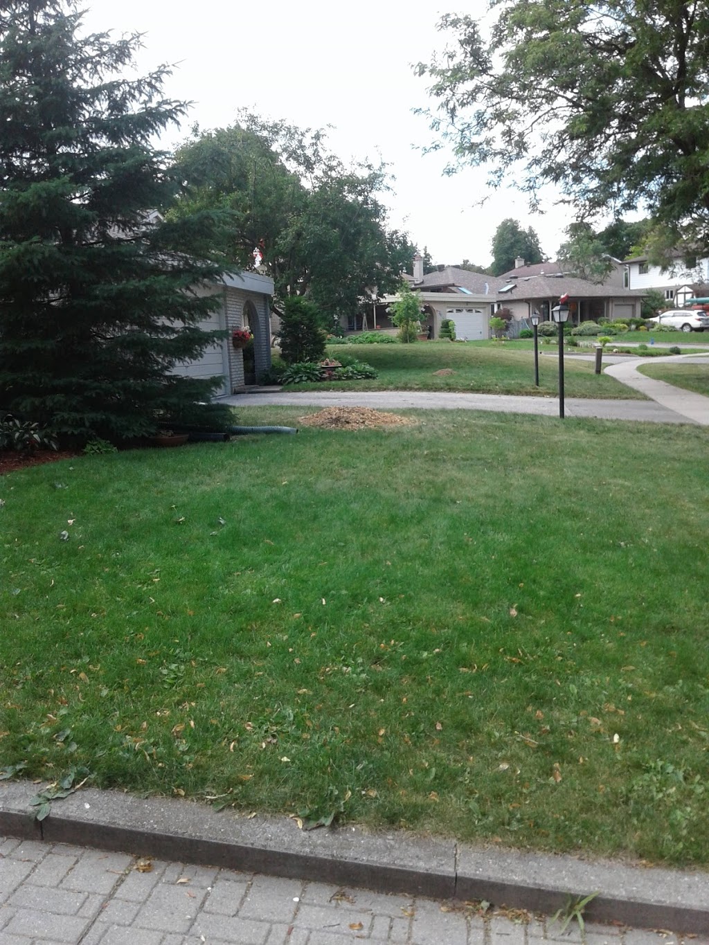 Lakeside Tree Experts | 560 Anne St N, Springwater, ON L9X 0V6, Canada | Phone: (705) 722-4800