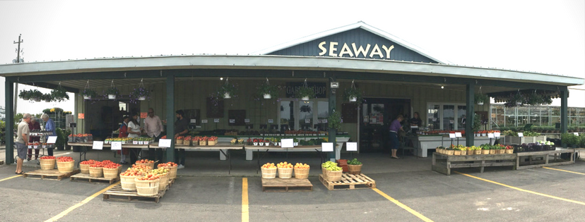 Seaway Farms | 175 Lakeshore Rd, Niagara-on-the-Lake, ON L0S 1J0, Canada | Phone: (905) 934-5066