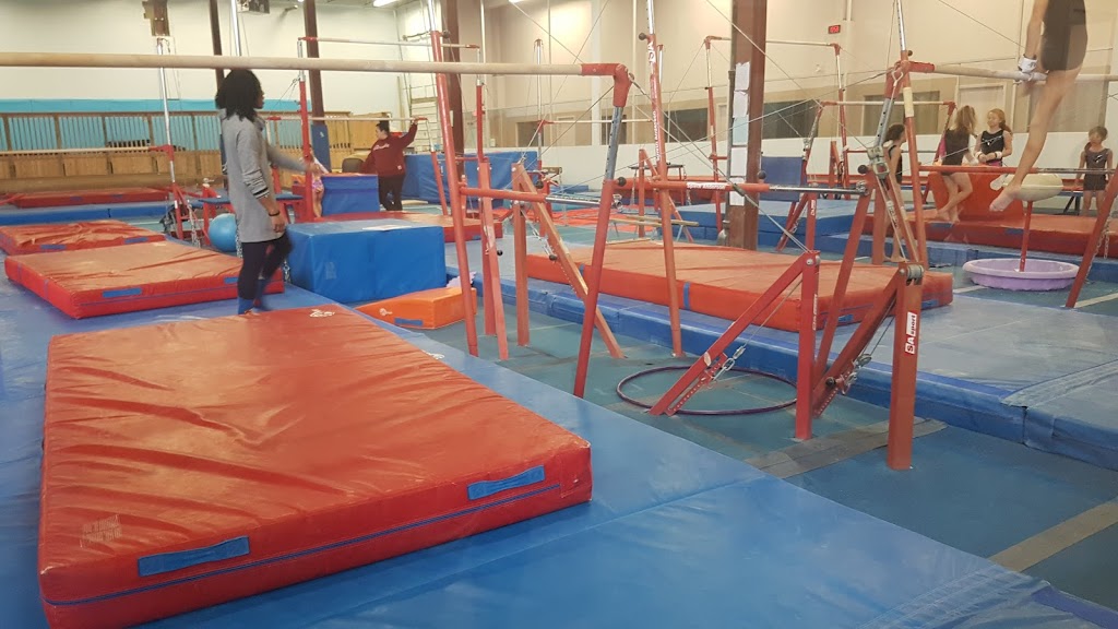 Gyros Gymnastics | 73 Samor Rd, North York, ON M6A 1J2, Canada | Phone: (416) 614-0521