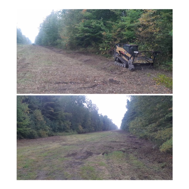 Beaver Brook Forestry & Contracting | 34903 Salem Rd, Parkhill, ON N0M 2K0, Canada | Phone: (519) 280-5087