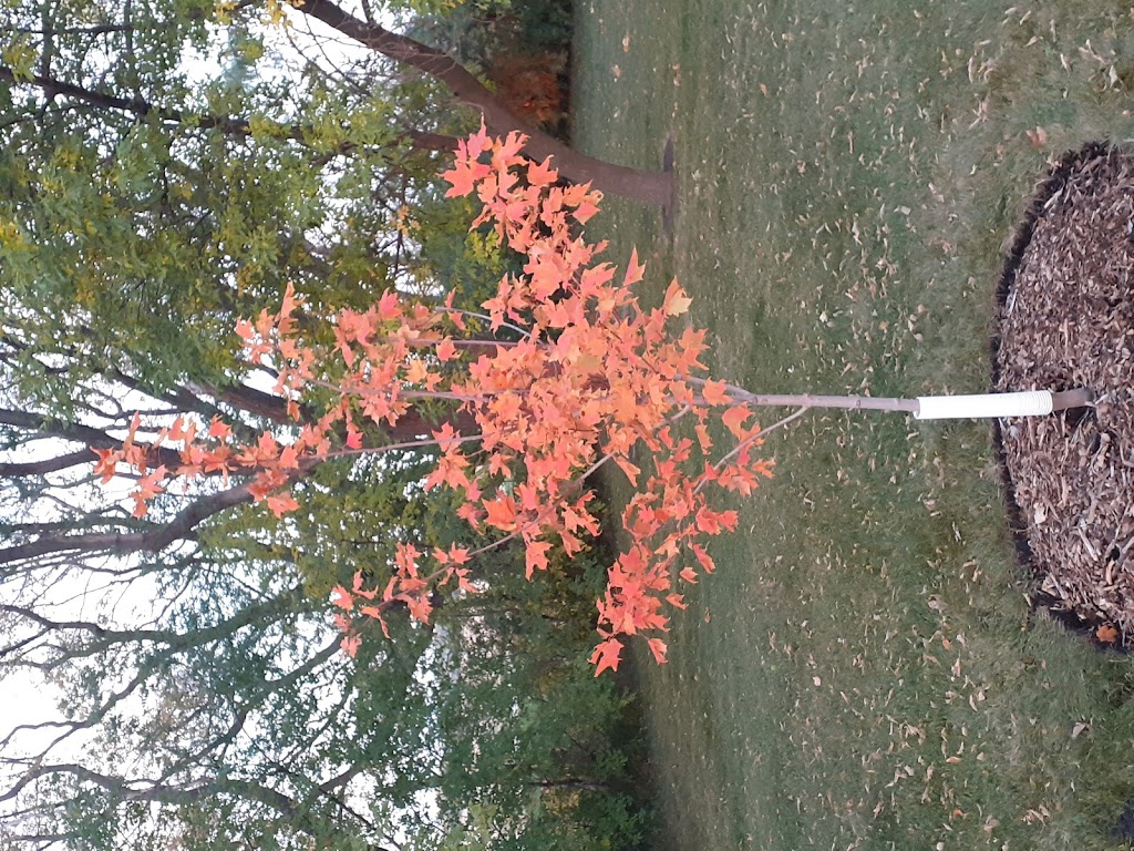 Tree Pro | Box 23, Altona, MB R0G 0B0, Canada | Phone: (204) 324-4286