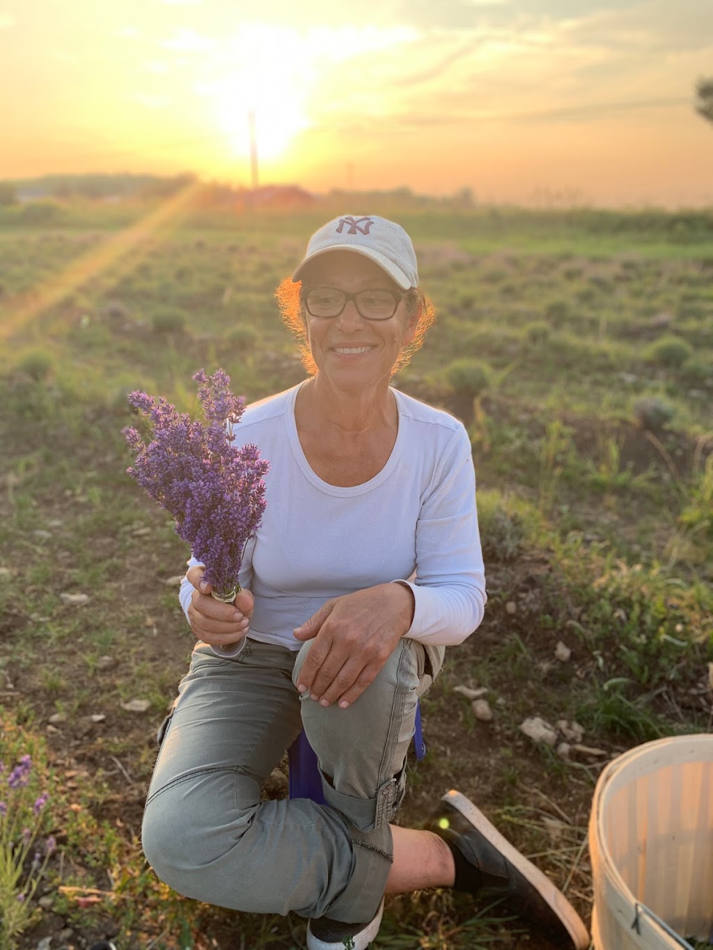 Violet Hill Lavender | 3634 County Rd 8, Picton, ON K0K 2T0, Canada | Phone: (647) 831-3203
